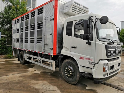 曲靖豬苗運(yùn)輸車價(jià)格及豬仔調(diào)運(yùn)車廠家概覽，兼談吸污車市場(chǎng)